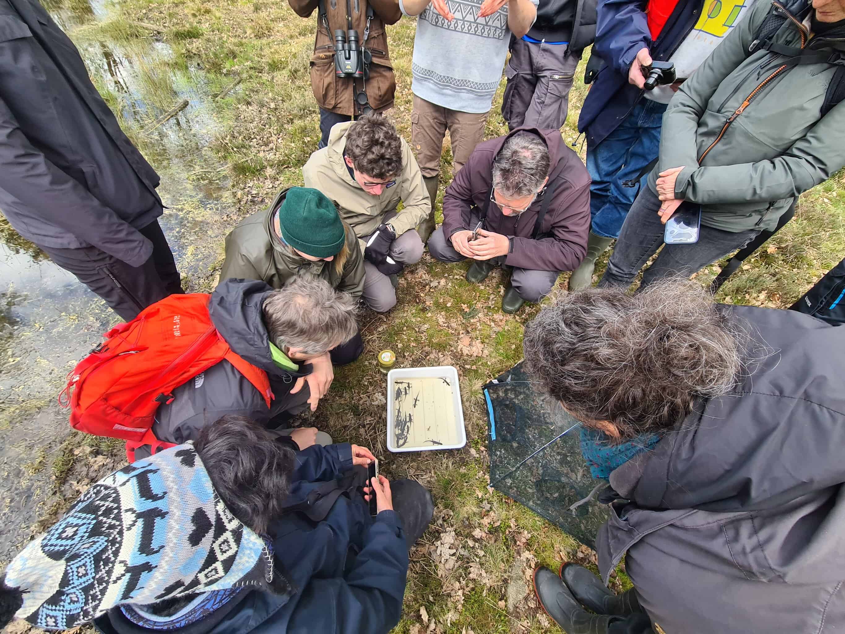 Artenkenntnisseminar Amphibien 2024 Exkursion Fänge