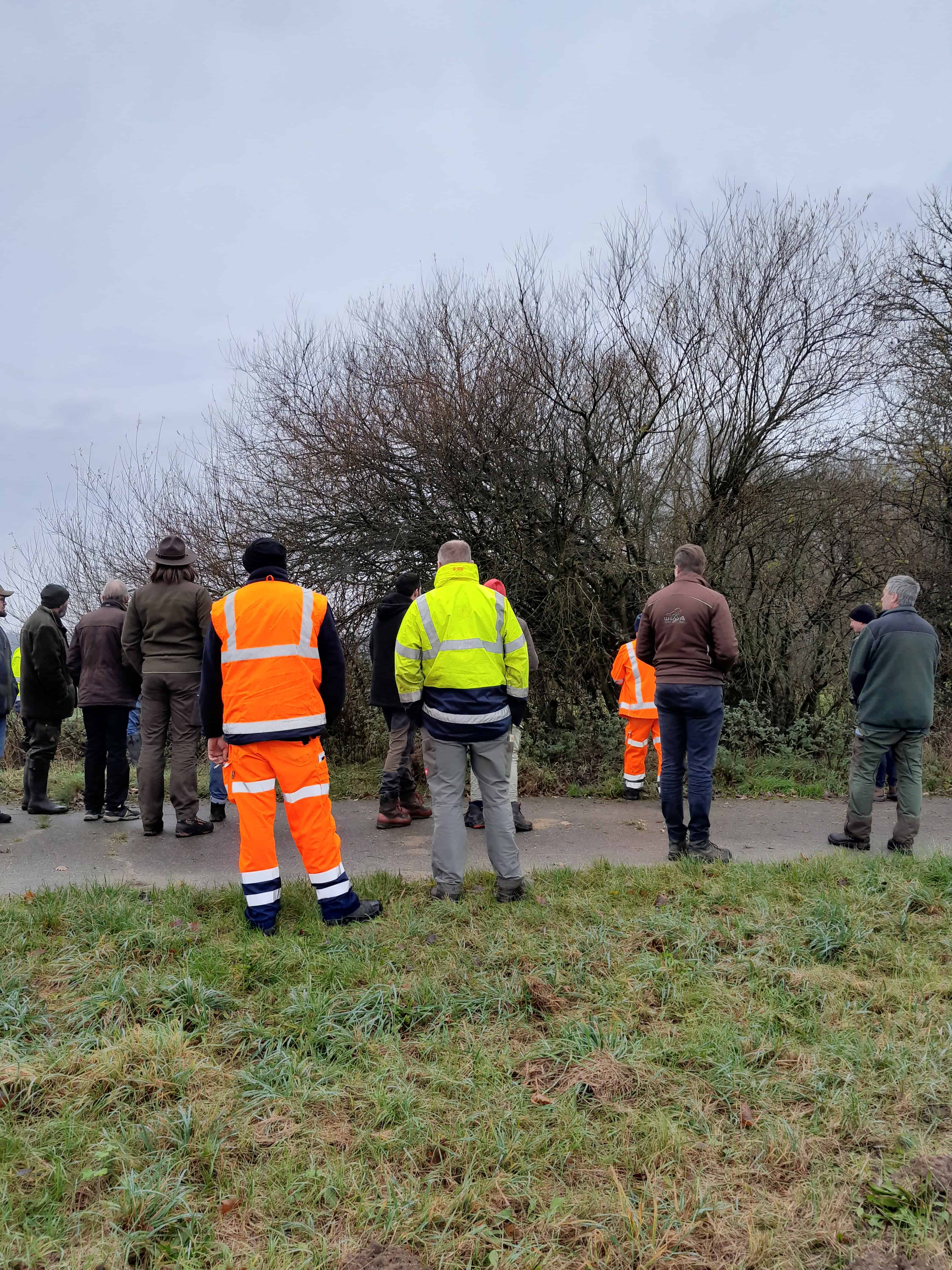 Heckenpflanzung mit FÖJlern der VNP Stiftung Naturschutzpark Lüneburger Heide