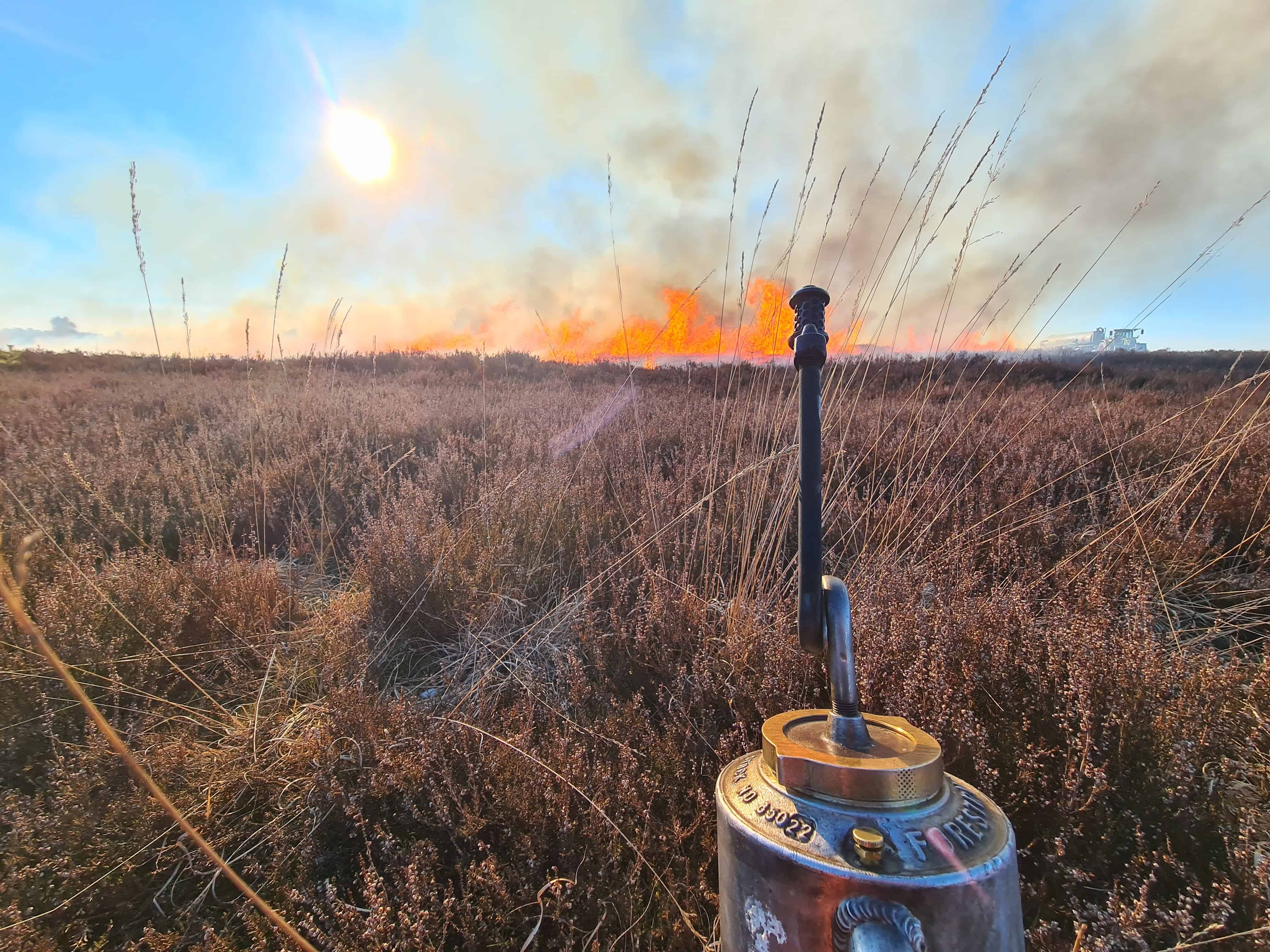 Landschaft mit kontrolliertem Brand zur Offenlandpflege im Naturschutzgebiet.
