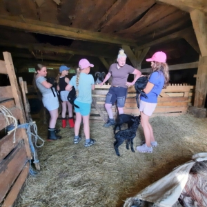 VNP Schulbauernhof Stall L&auml;mmer Kleingruppe | Foto Lena Noa