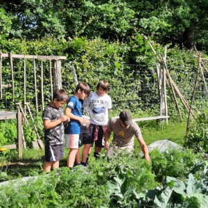 VNP Schulbauernhof Feldgarten Ernte Kleingruppe | Foto Lena Noa