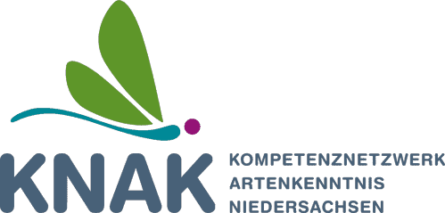 logo knak wort bild projekt