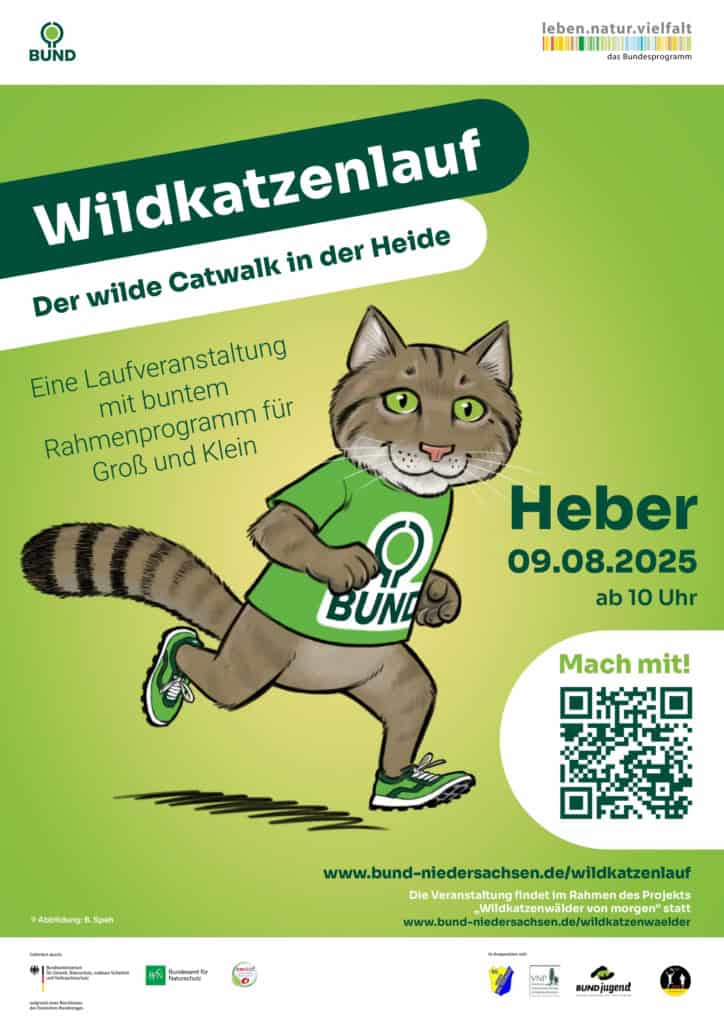 Poster Wildkatzenlauf Heber 9.8.25