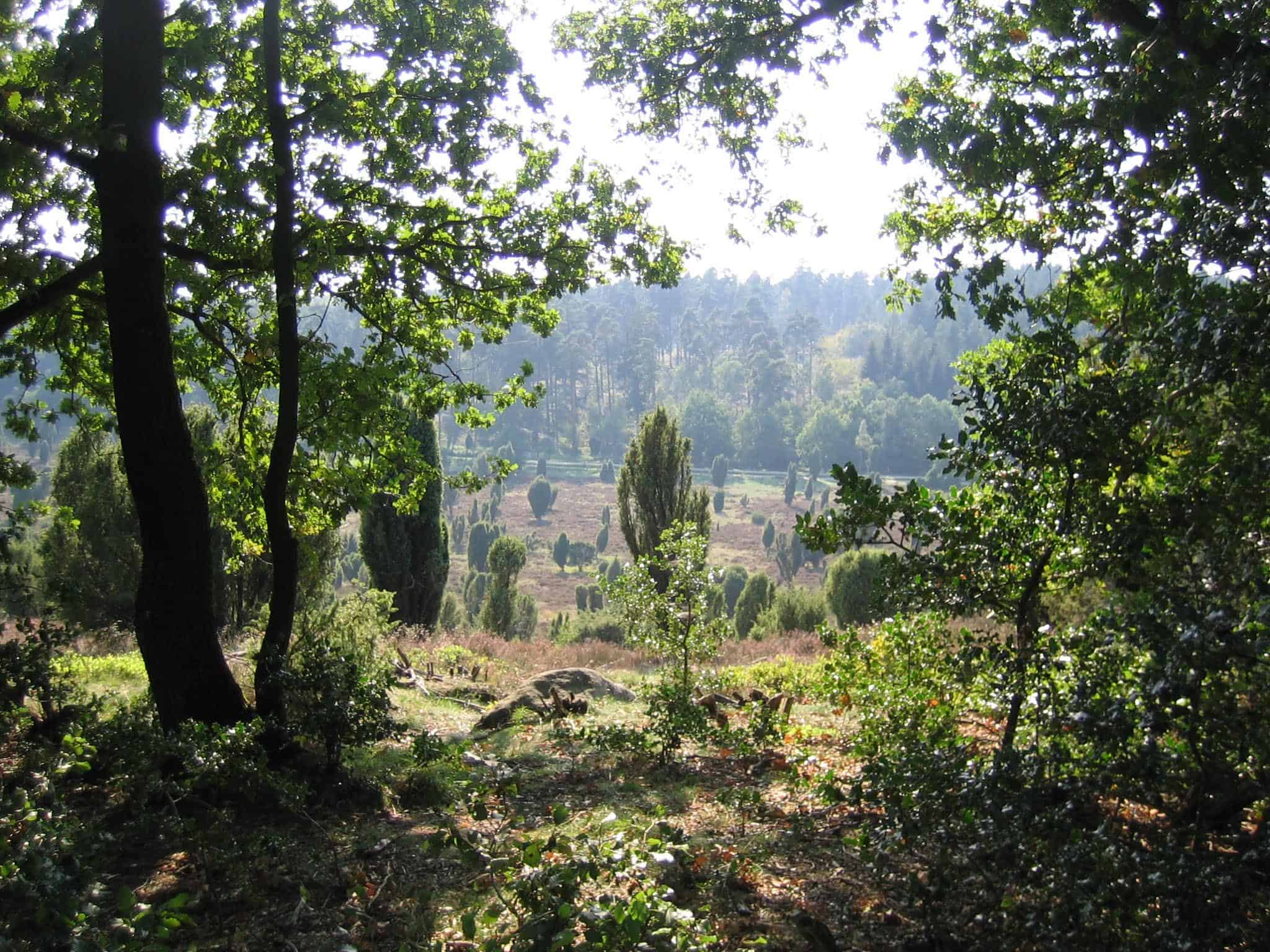 Blick in den Steingrund