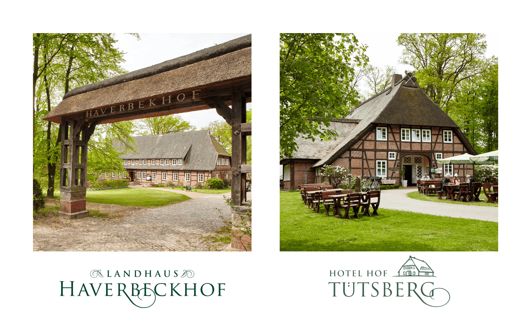 Besuchen Sie die VNP-Hotels Hotel Haverbeckhof und Hotel Hof Tütsberg!