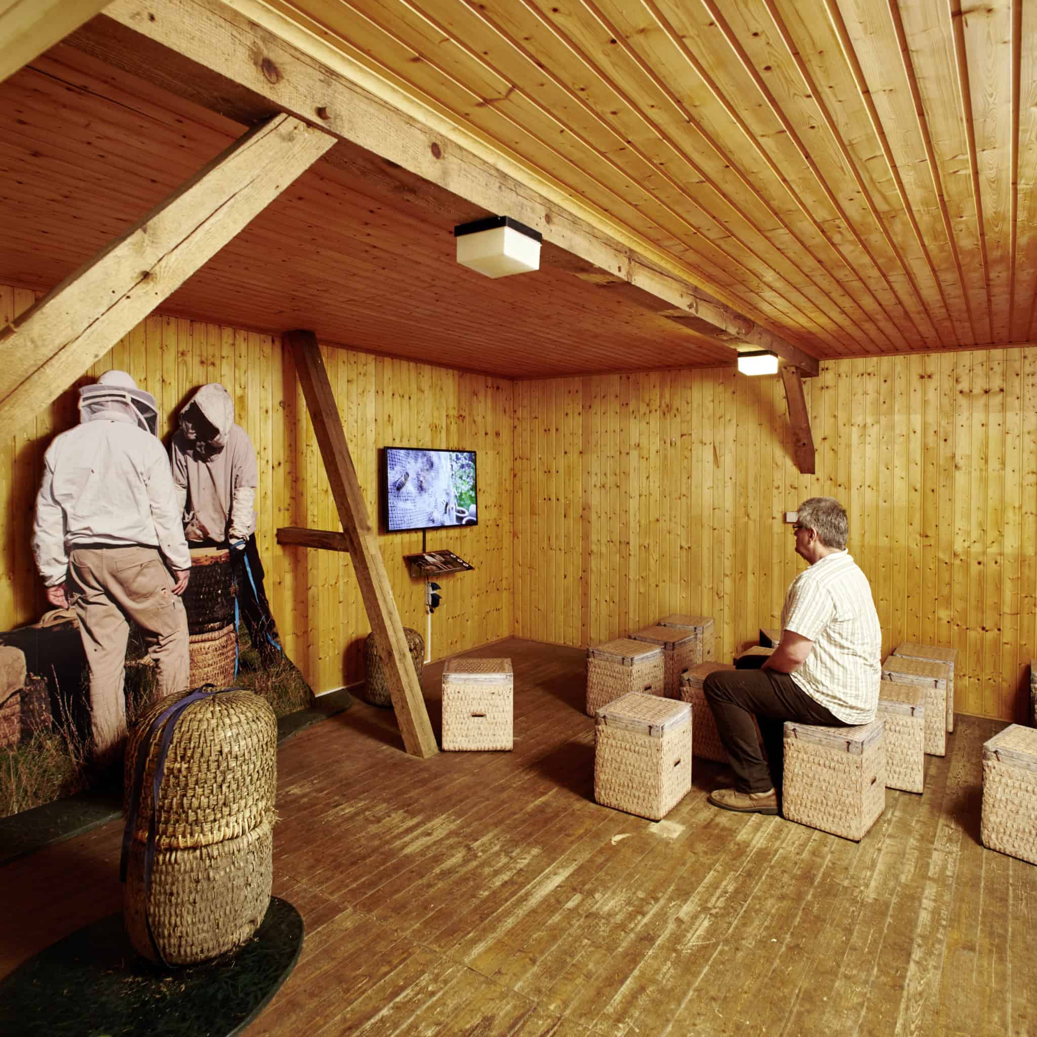 Ausstellung zur Imkerei in den "Bienenwelten" Niederhaverbeck