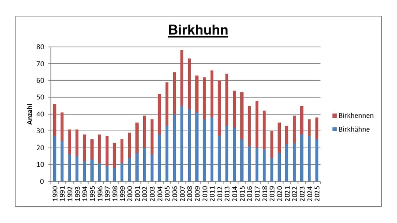Infografik Bestandsentwicklung Birkwild im NSG Lüneburger Heide