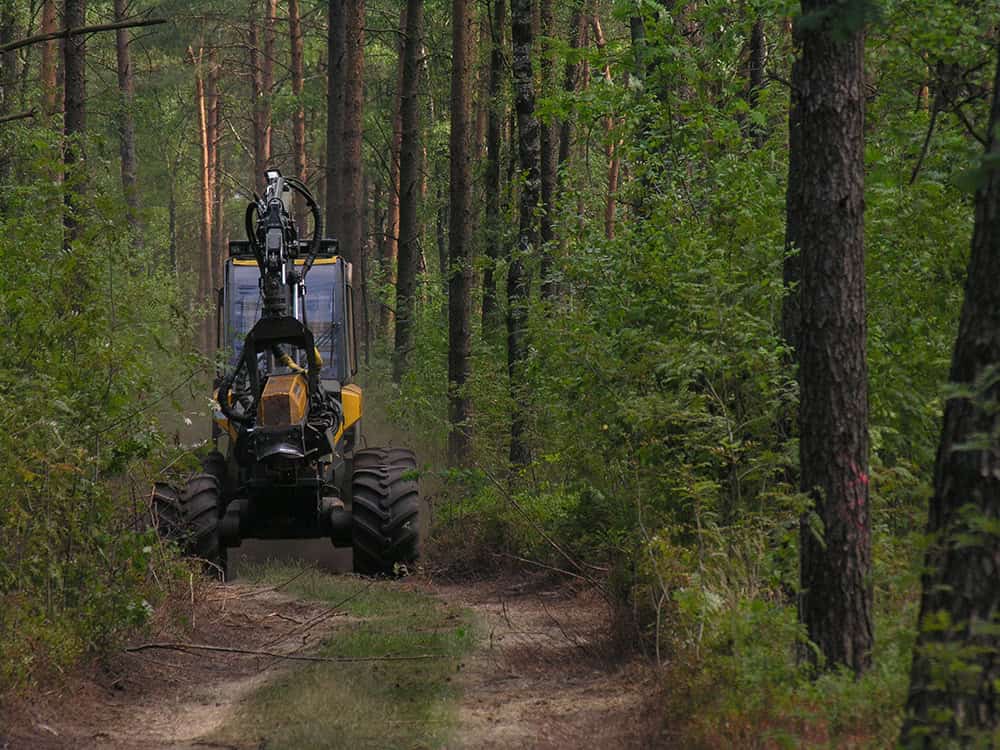 Forstwirtschaft Harvester