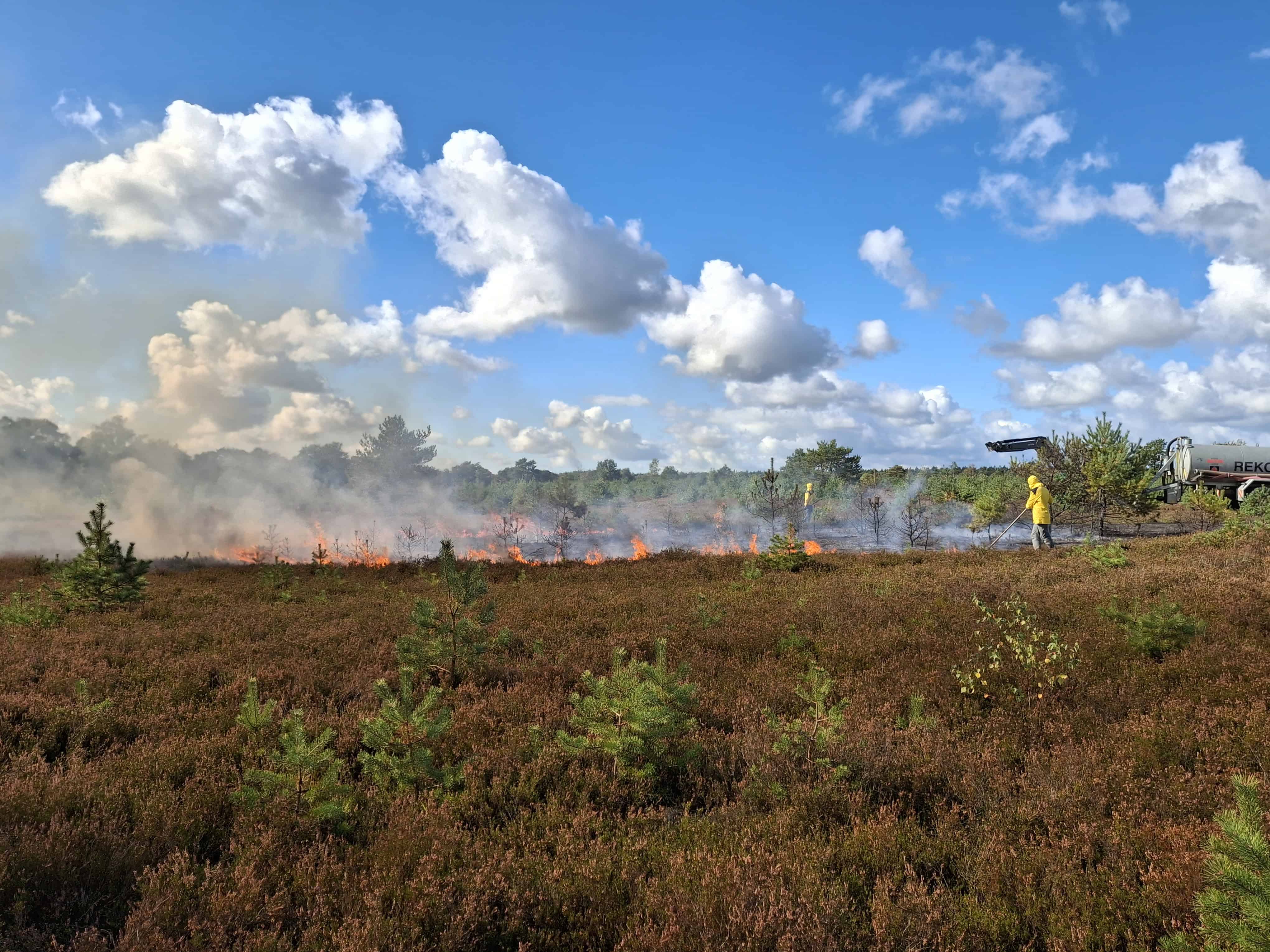 Heidebrand: Landschaft bei Offenlandpflege im Naturschutzpark, Feuer und Fachmann bei Arbeit.