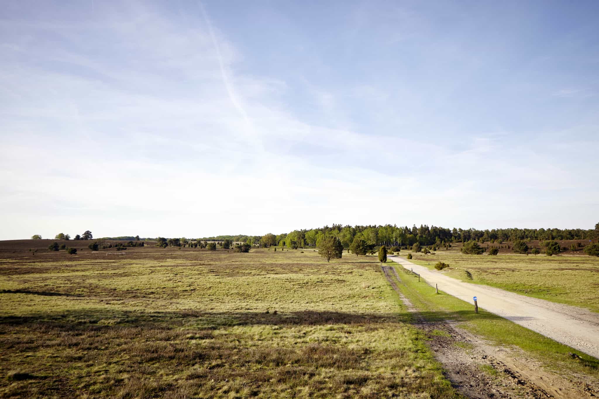 Heidelandschaft bei Hof Tütsberg | Foto: Christian Burmester