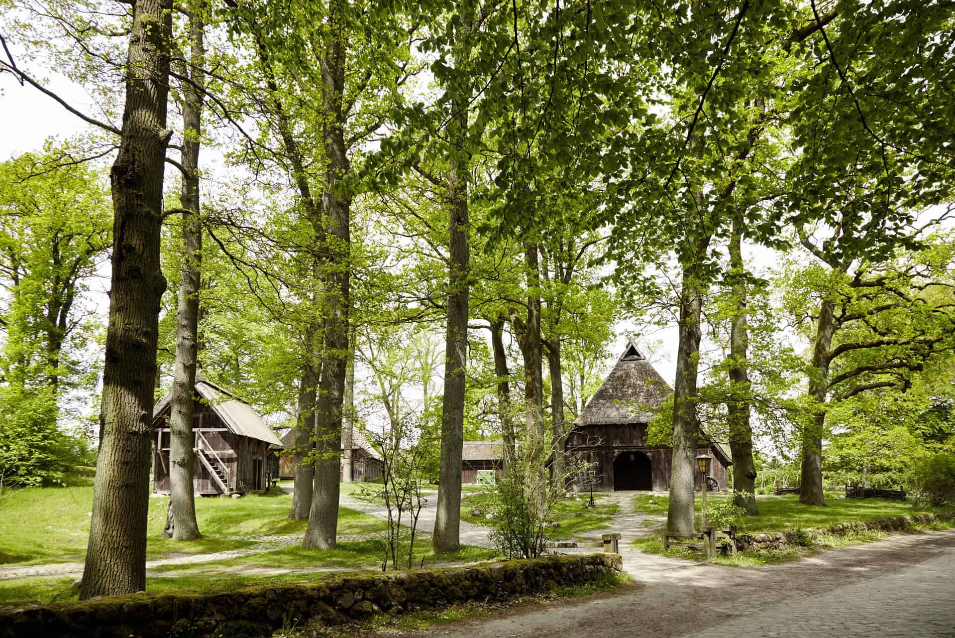 Hofgehölz Emhoff Wilsede Foto Burmester