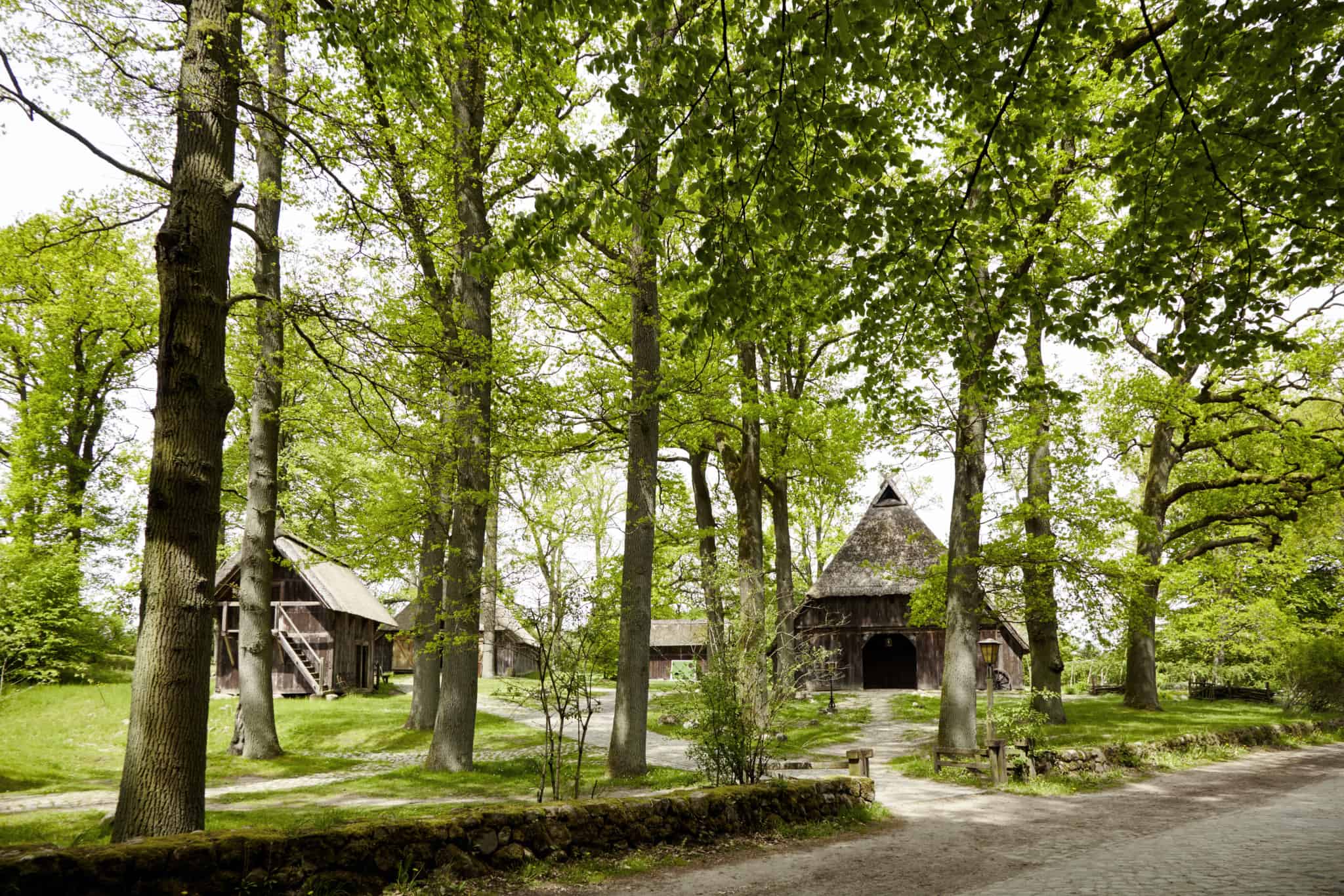 Hofanlage "Emhoff" in Wilsede | Foto: Christian Burmester