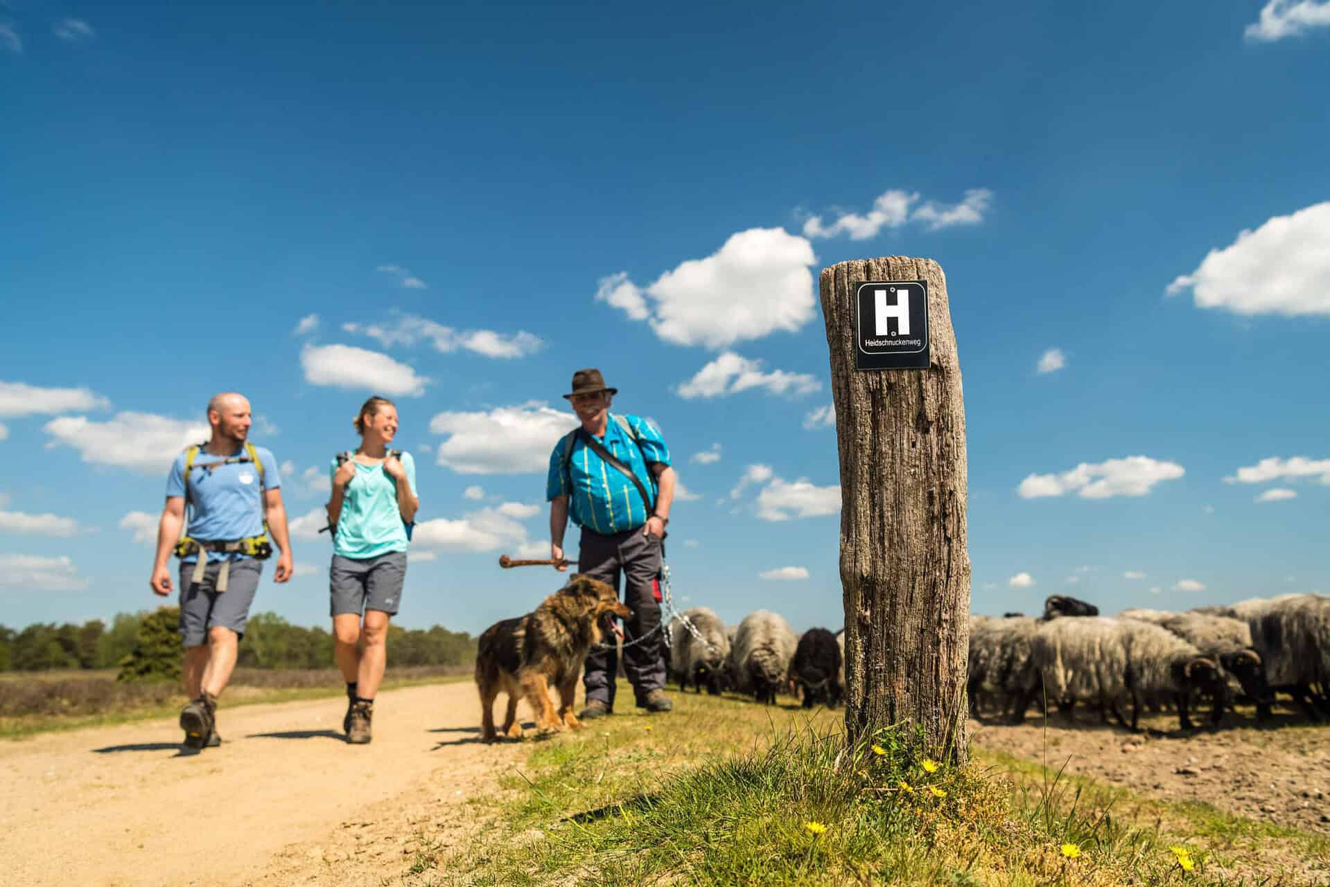 Lüneburger Heide: Wandern auf dem Heidschnuckenweg | Foto: Lüneburger Heide GmbH 2020