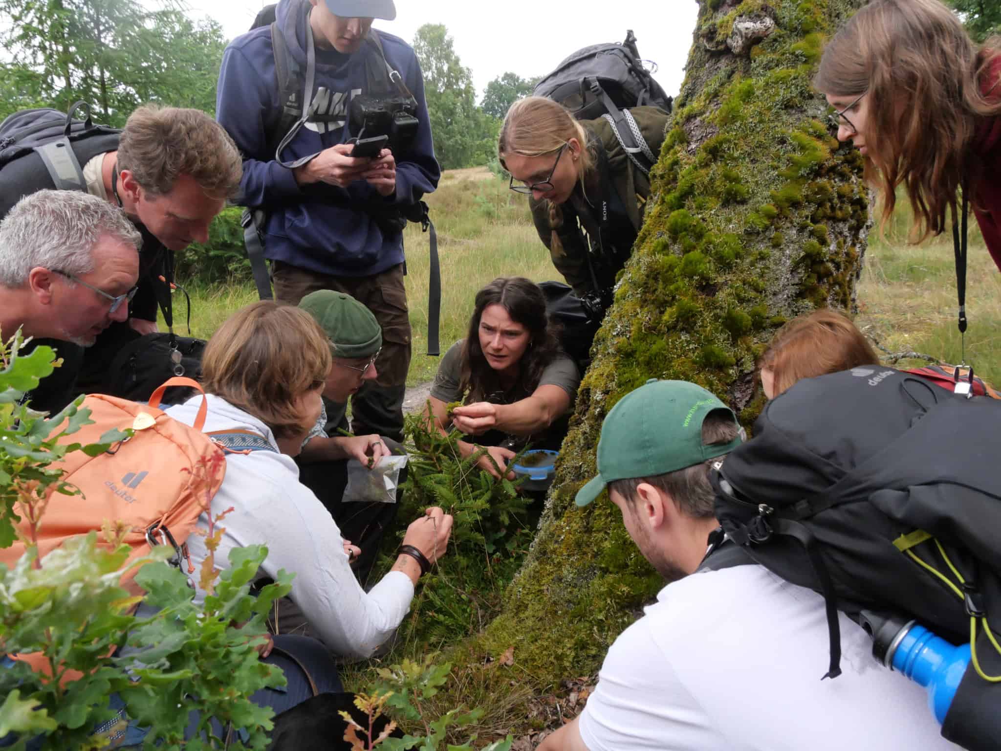 Artenkenntnisseminar in Wilsede | VNP Stiftung Naturschutzpark