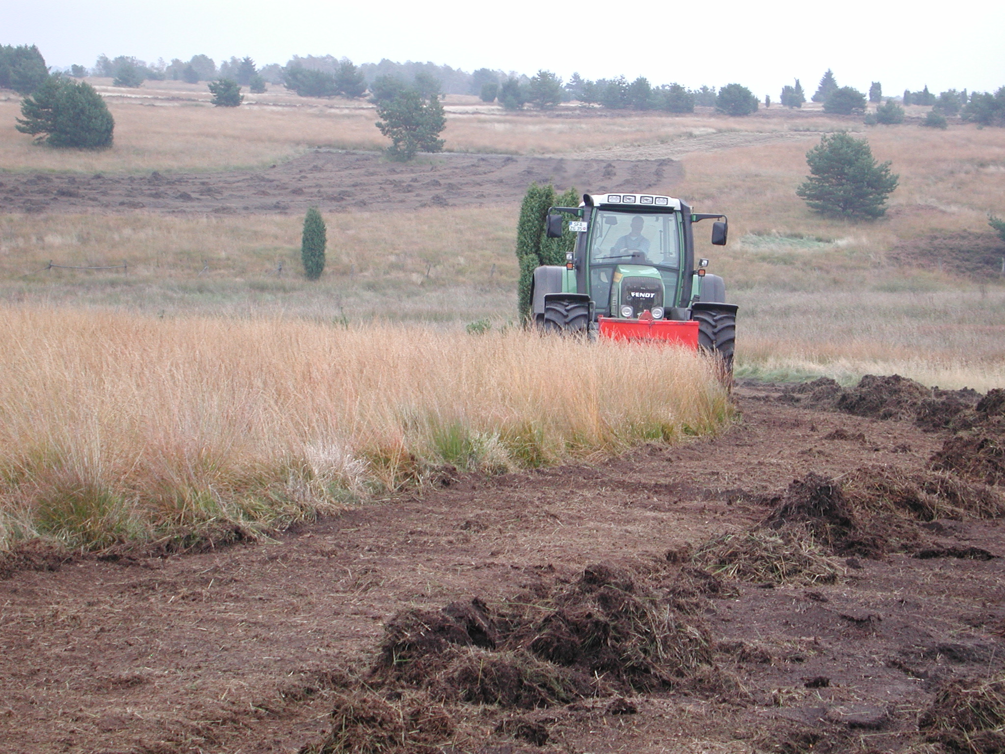 Heidepflege: Mulchschoppern von vergrasten Heideflächen | Foto: VNP Stiftung Naturschutzpark Lüneburger Heide