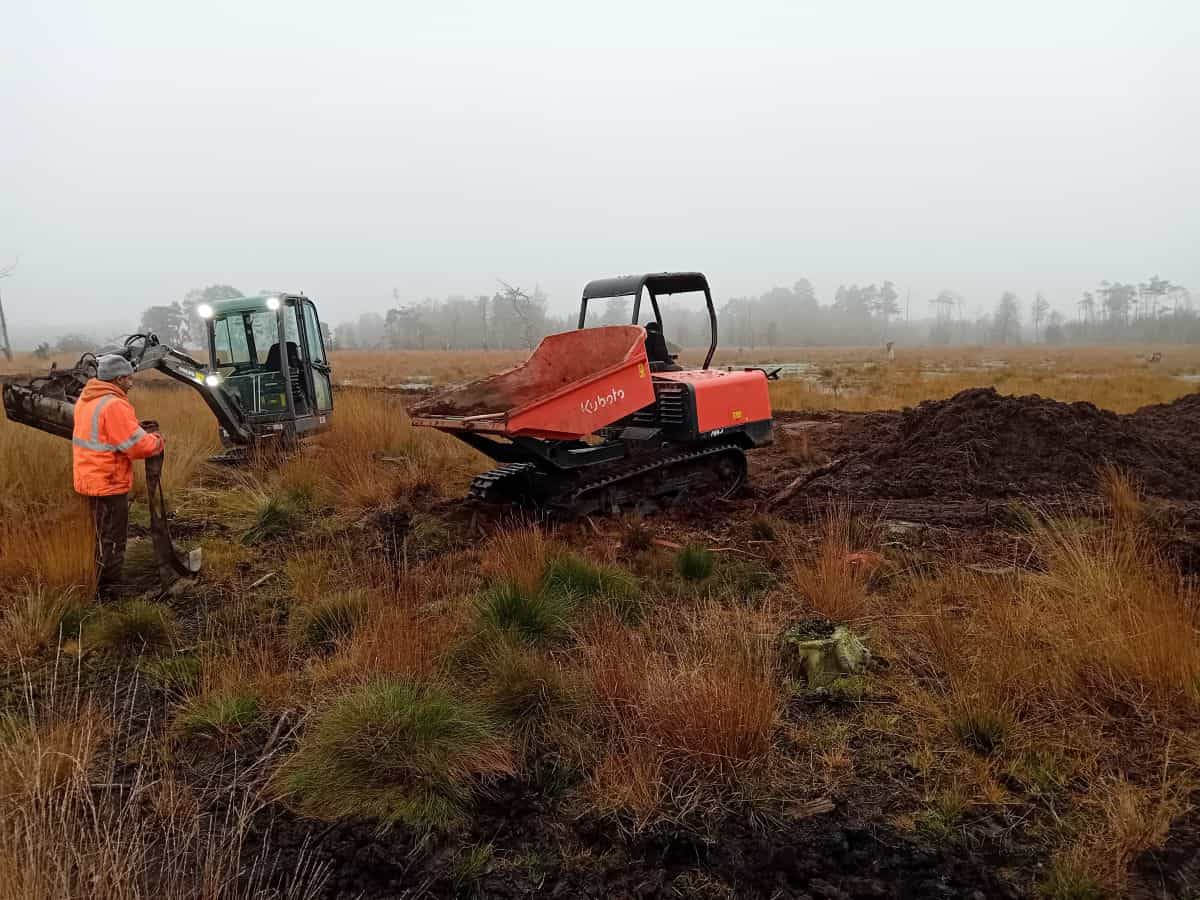 Maschinelle Pflegemaßnahmen im Moor | VNP Stiftung Naturschutzpark Lüneburger Heide