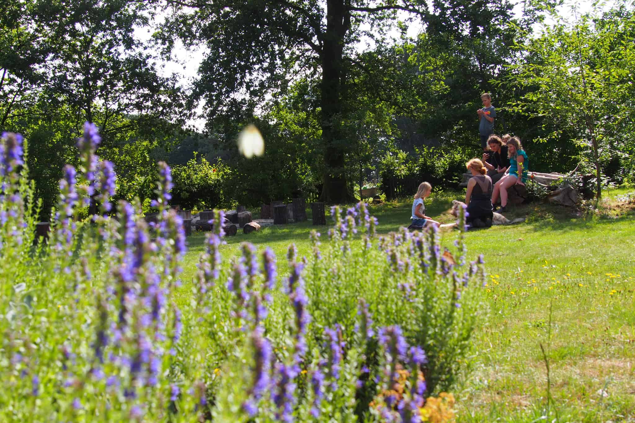 Schulbauernhof Wilsede VNP Kinder im Garten