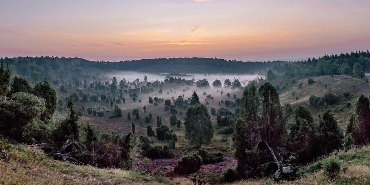 Totengrund in der Lüneburger Heide