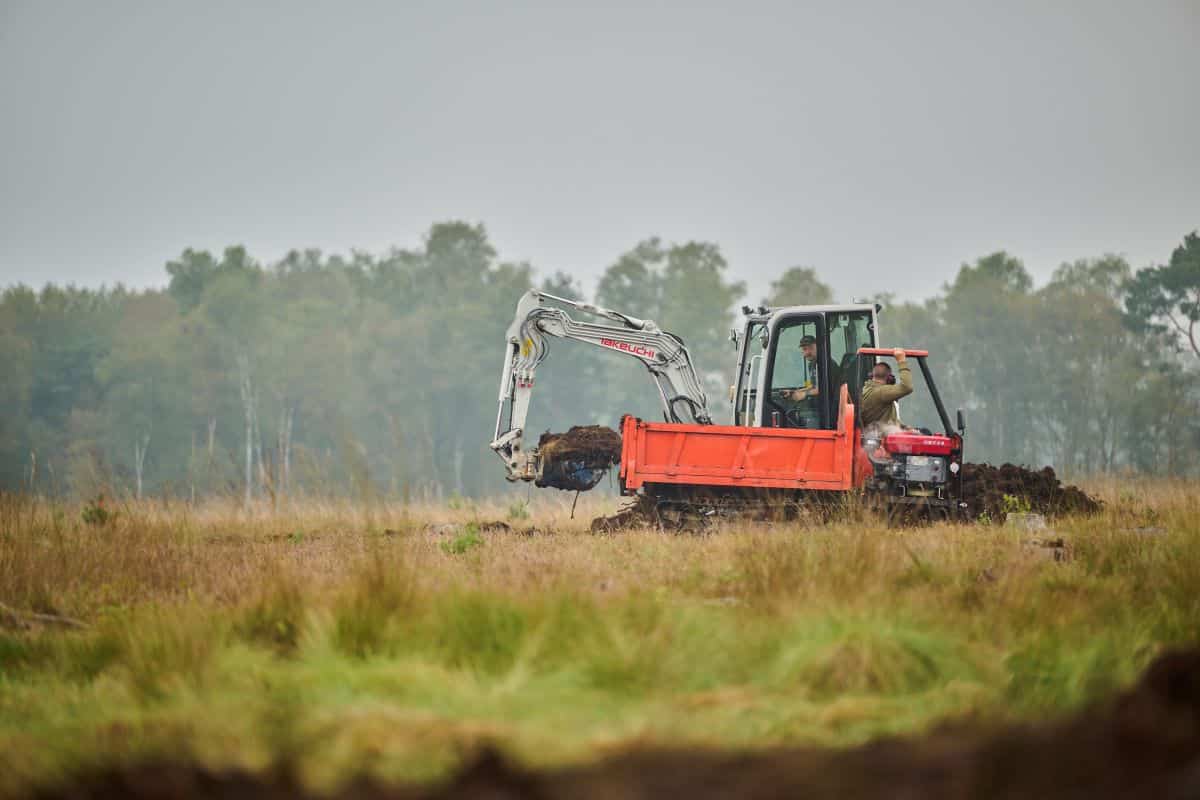 Landschaftspflegearbeiten mit Minibagger Foto Hauke Müller