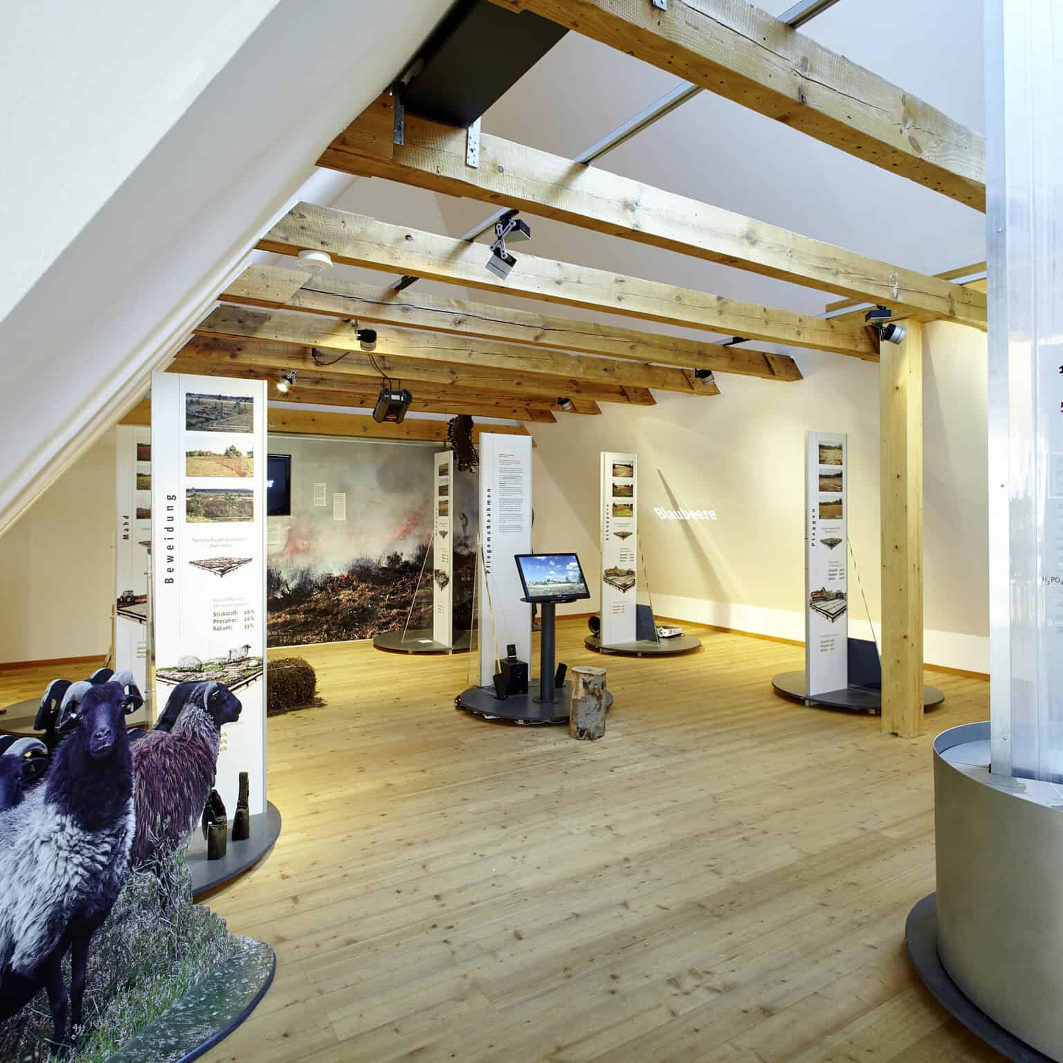 Impression aus dem Obergeschoss der Ausstellung im Heide-ErlebnisZentrum Undeloh | Foto: Christian Burmester Impression aus dem Obergeschoss der Ausstellung im Heide-ErlebnisZentrum Undeloh | Foto: Christian Burmester