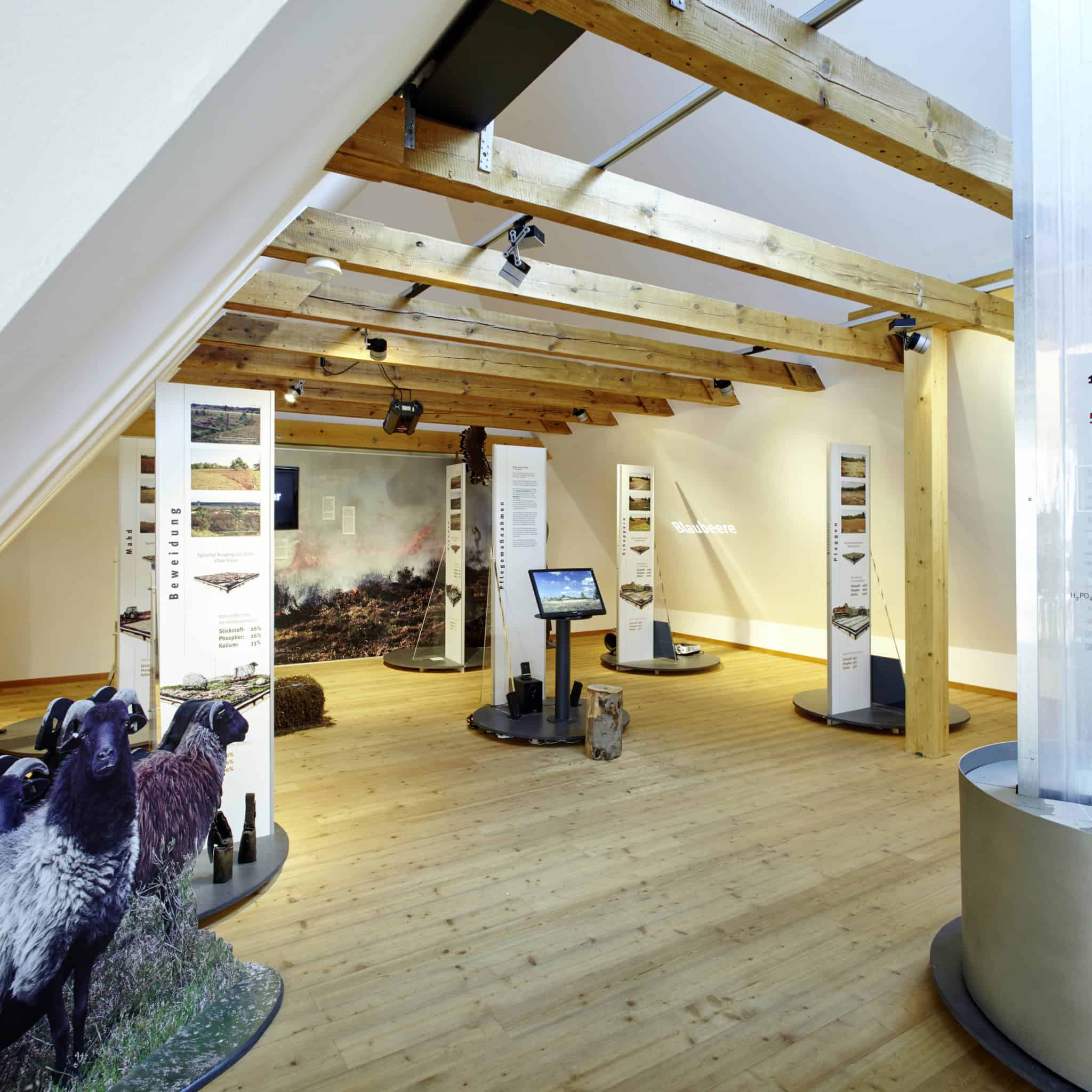 Impression aus dem Obergeschoss der Ausstellung im Heide-ErlebnisZentrum Undeloh | Foto: Christian Burmester Impression aus dem Obergeschoss der Ausstellung im Heide-ErlebnisZentrum Undeloh | Foto: Christian Burmester
