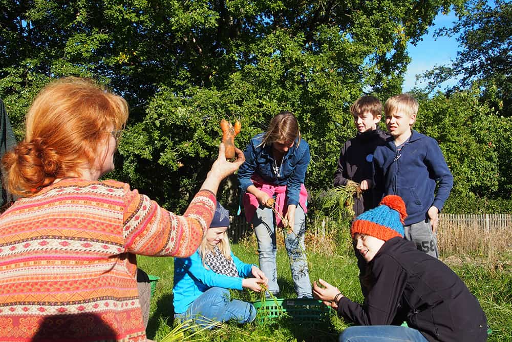 VNP Schulbauernhof: Möhrenernte im September | VNP Kinderakademie