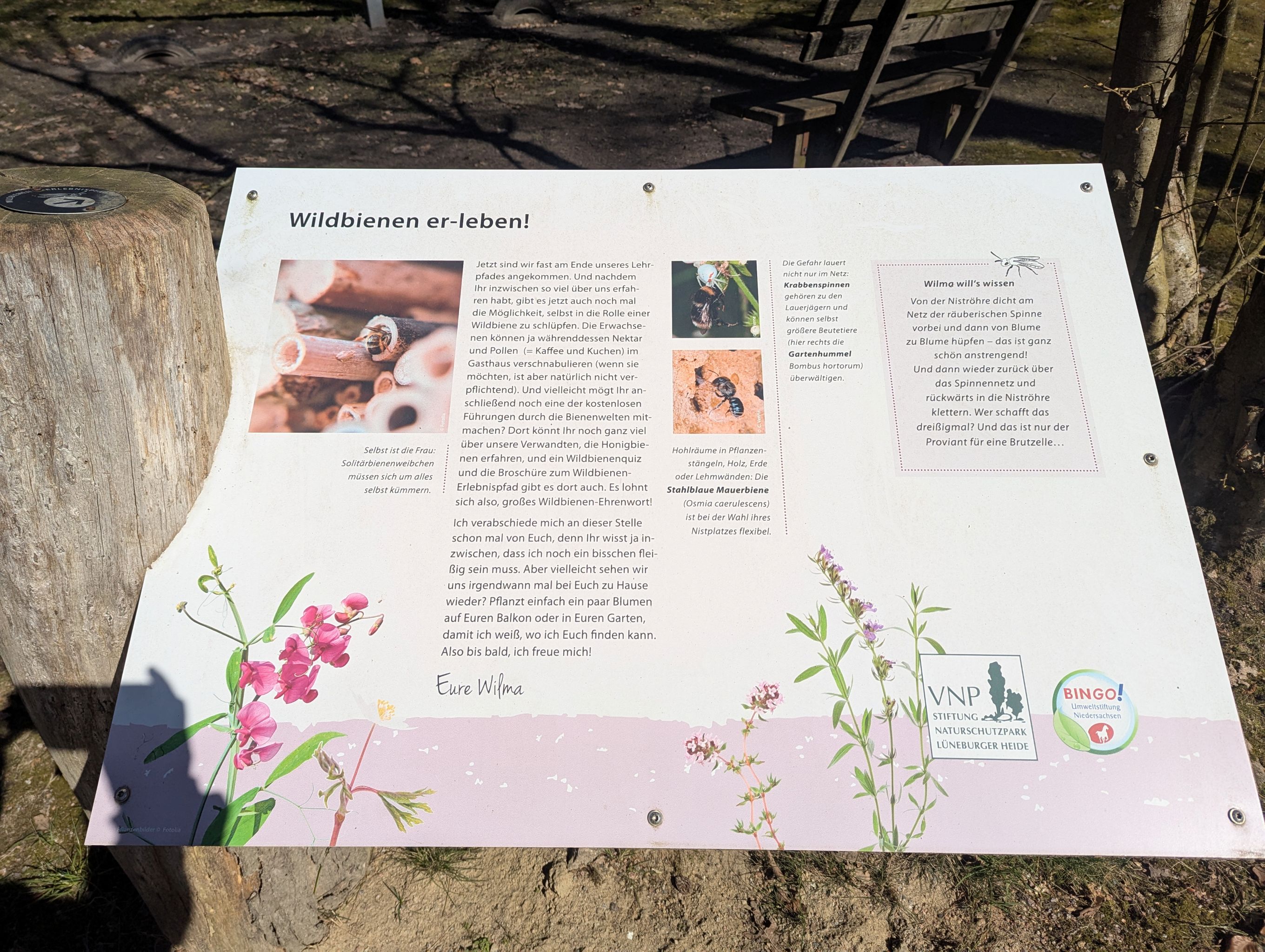 Wildbienen-Erlebnispfad Niederhaverbeck Schild Wildbienen er-leben
