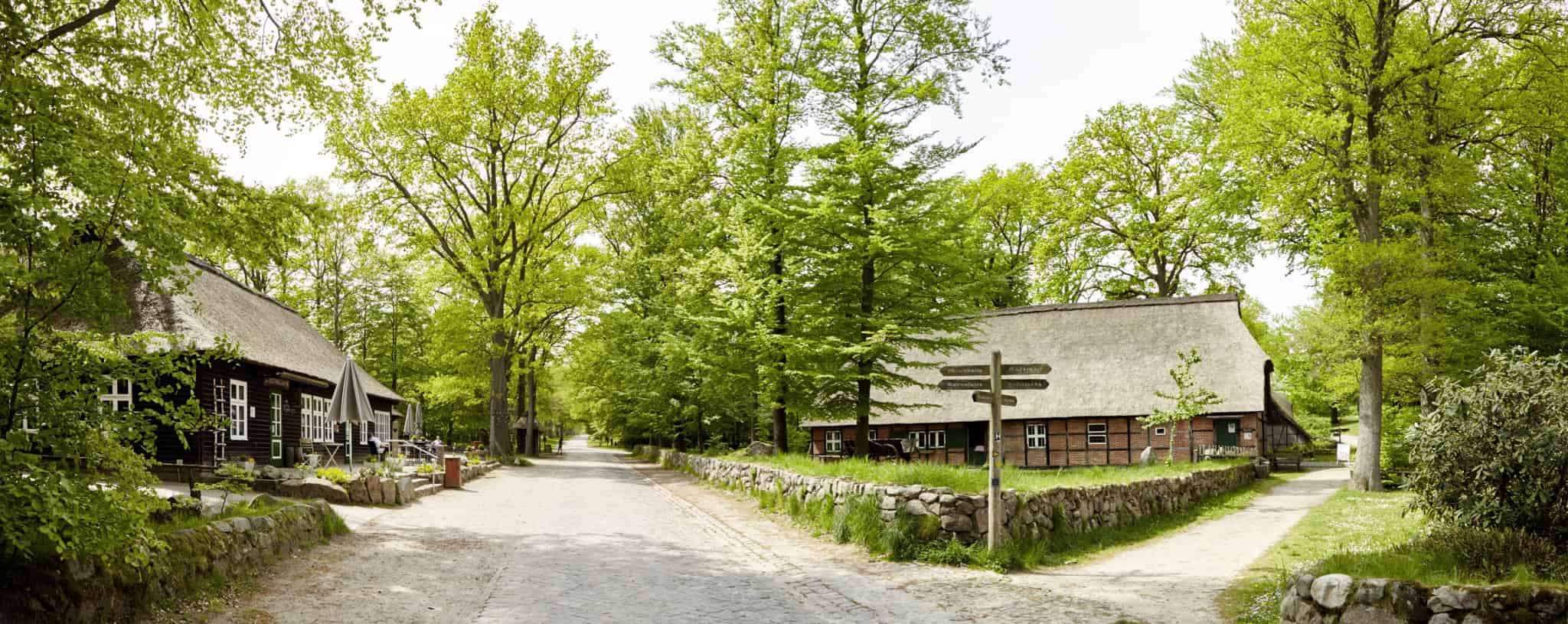 Die Wilseder Dorfmitte: Links Museumsladen und Milchhalle, rechts das Heidemuseum "Dat ole Huus" | Foto: Christian Burmester